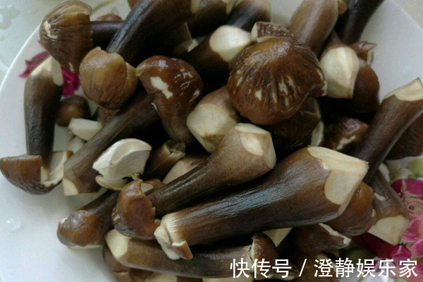 营养物质|女人常吃此“菌王”，每周2次，去湿气、暖子宫，远离妇科疾病