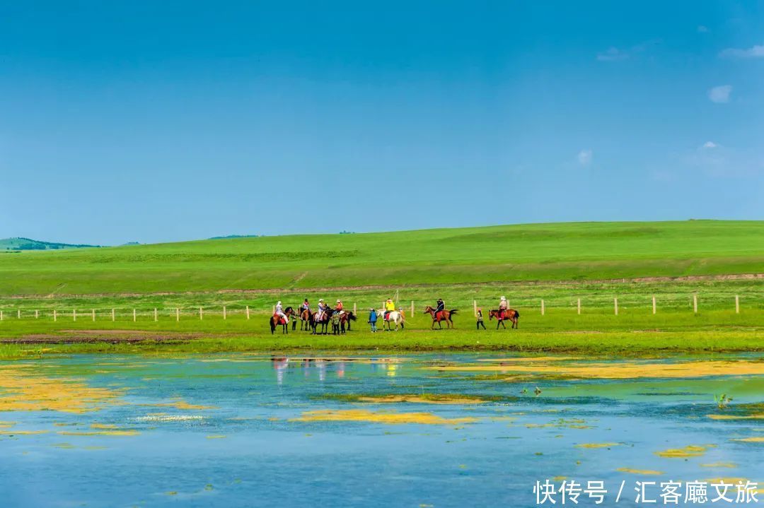 樟子松|这个夏天，我劝你一定要去一次内蒙古 ！