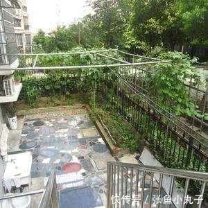 老师傅|为啥有钱人从不买“带院子”的户型,老师傅说:等装修完你就懂了