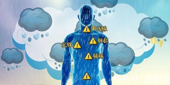 三脏同调法|查出结节、息肉，别掉以轻心，这几种情况易变成癌！中医调脏腑、化痰瘀、防癌变
