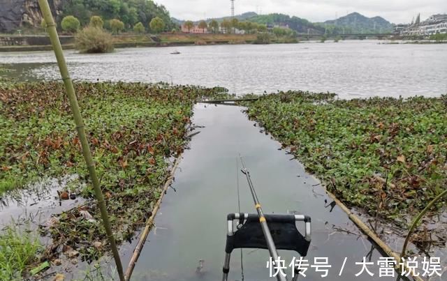 专家|专家一天钓上千斤鱼很正常;钓鱼人你钓给我看看