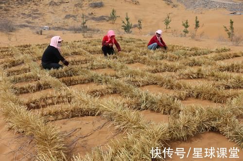 治沙|中国第一个即将消失的沙漠，面积远超海南岛，治沙奇迹如何出现？