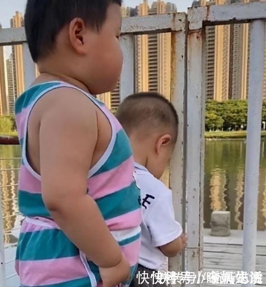 狮子|两个同龄宝宝在小区相遇,体型差距有点大,“小猫”遇上“狮子”