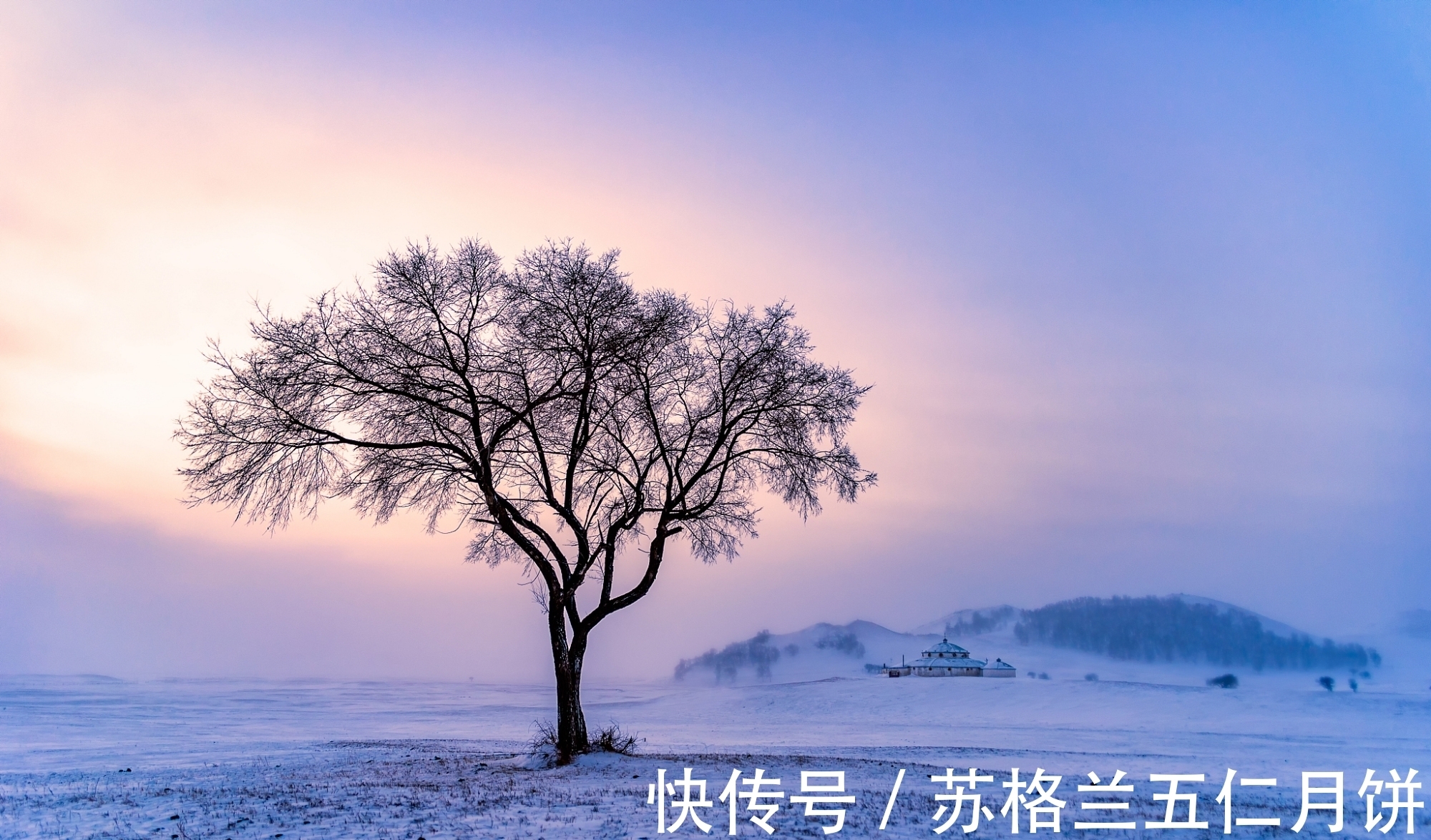 江烟！《小雪》唯美古诗荟萃，透视千古诗客雪中情怀