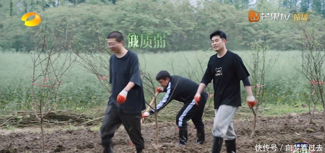 张艺兴|看过杨紫李诞对张艺兴的评价,才知道观众吐槽他不会生火恶意好大