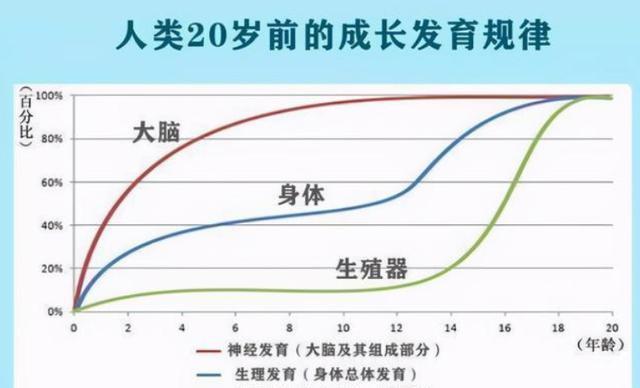 父母|哈佛大学研究:孩子一生中变聪明的时机很短暂,家长千万不能错过