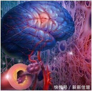 心脑血管|天然“降脂药”在身边,平时吃点,血管年轻10岁,高血脂不攻自破