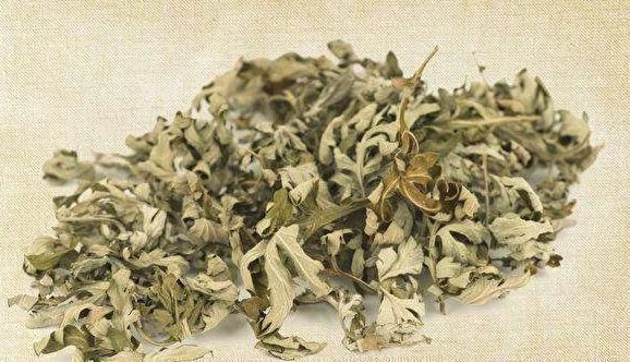 地头|田间地头没人要的野草，却是腰间盘突出的“救命草”，三天起效