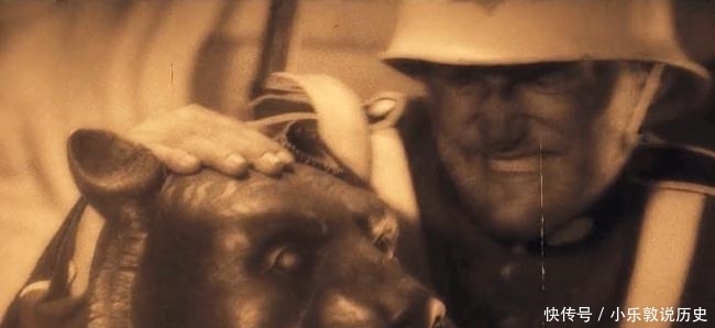 下令|一百多年前,他下令焚烧圆明园,三年后,竟遭雷击葬身火海