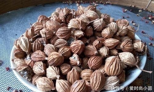 不论炖什么肉,多加这2种香料,保证肉越炖越香,越炖越烂,贼棒