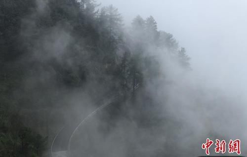 重庆黑山谷雨雾缭绕宛如仙境