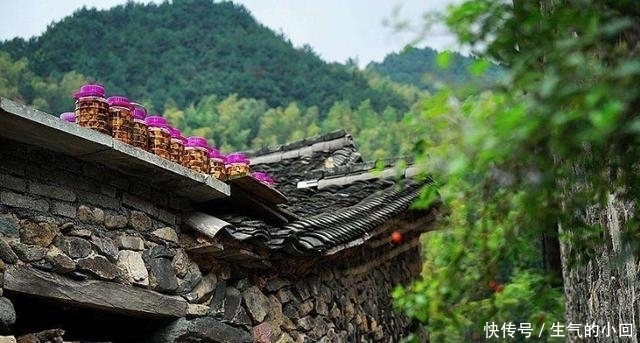 a8338|浙江一石头村存在近600年，仿若桃源般神秘宁静，风景真是一绝