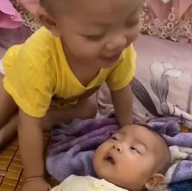 弟弟|3个月弟弟被1岁多的哥哥这样哄，网友直呼这是什么神仙兄弟情