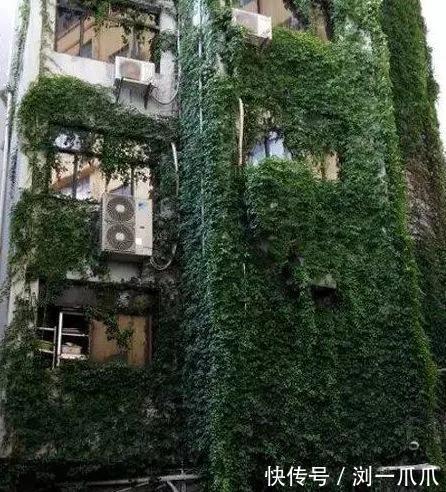 |搞笑GIF:看那双无处安放的小眼神,透出一股小沈阳的淡淡忧桑!