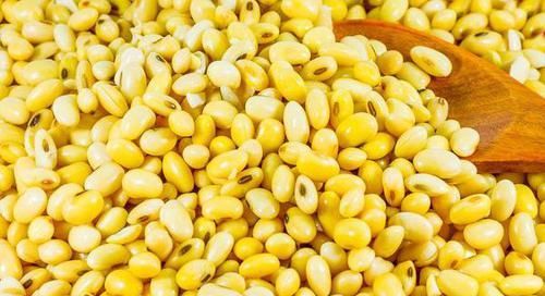  不好|胃不好的人，这5类食物尽量避开，不利于胃病患者的健康！