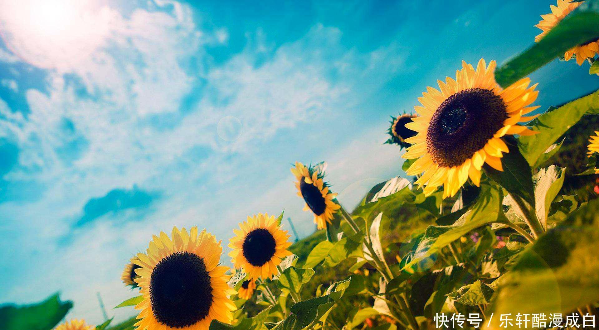 5月的天 艳阳高照 这三个星座的心情越来越好 事业节节高 全网搜