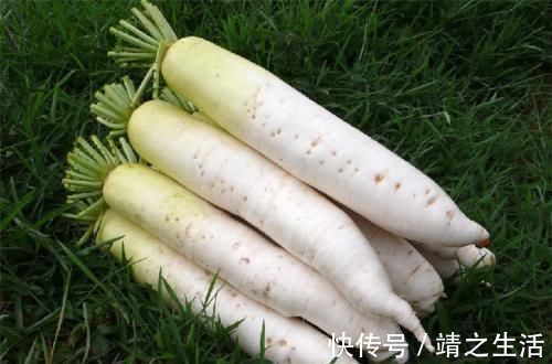 张医师|白萝卜和此物一起炖,坚持3天,痰没了,咳嗽好了,不妨试试