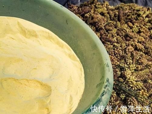 神药|李时珍称它为“不老神药”,久服令轻身,百元一斤,真那么神奇?