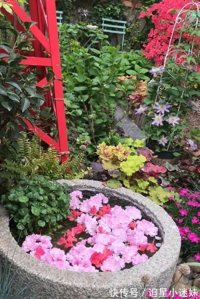 有了30平方的小院,能将日子过成了诗简单而精致,优雅而从容