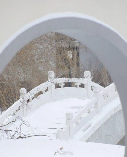 东北农业大学|东北农业大学冬日雪景流露特殊浪漫