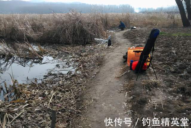 豆粉|冬季也能钓大鲫鱼，从四个方面入手，轻松超越别人