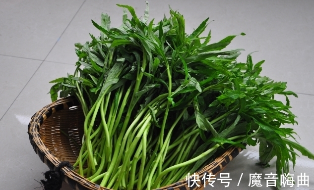 开胃|泥蒿虽不起眼,全身是宝,开胃健脾,降压补脑,增强免疫力,防癌