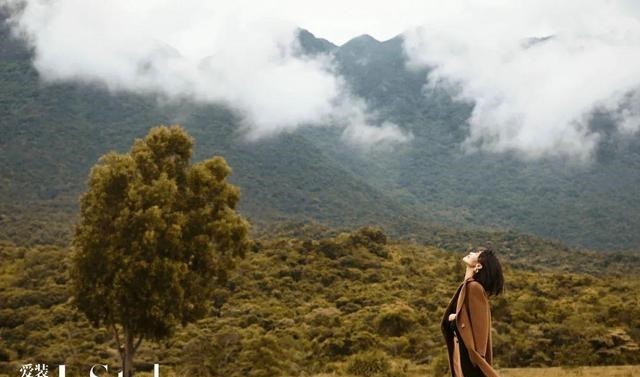 羊驼绒 这件羊驼绒大衣,比拥抱更暖!