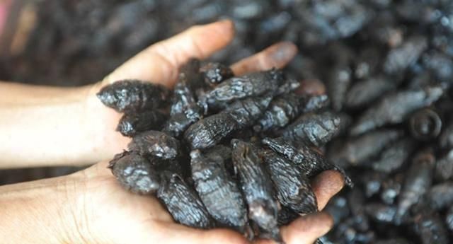 槟榔|健康养生之路:少碰3样食物,肝不养就很好!91岁老中医的忠告,一定得牢记