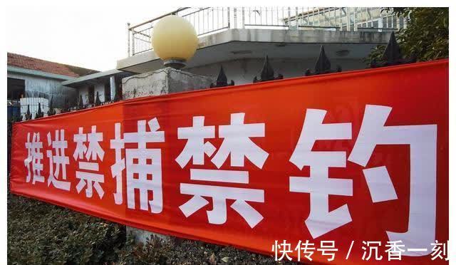 钓鱼破坏性太强,应该推行全国禁钓!钓鱼人得罪了谁?