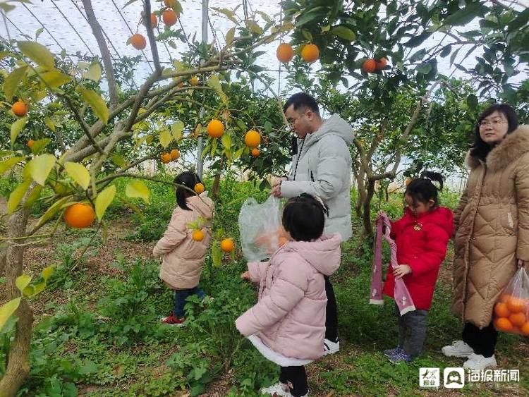 开门红|坊子文旅市场喜迎新春“开门红”