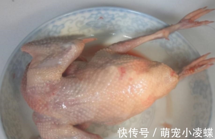 一鸽胜九鸡，冬日炖一碗鸽子汤，汤鲜肉嫩不腥，这样做营养更滋补