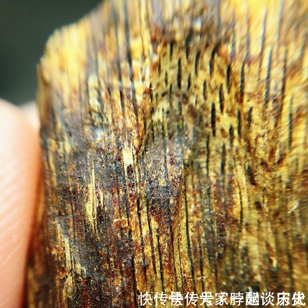 沉香|沉香中的上品奇楠,香味高雅尊贵,香醇之味悠然缥缈