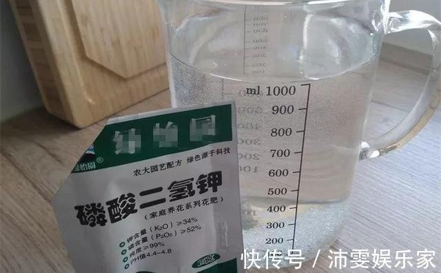 养花人都知道的“5个偏方”，3分钟学会，一生受用，养啥都旺盛