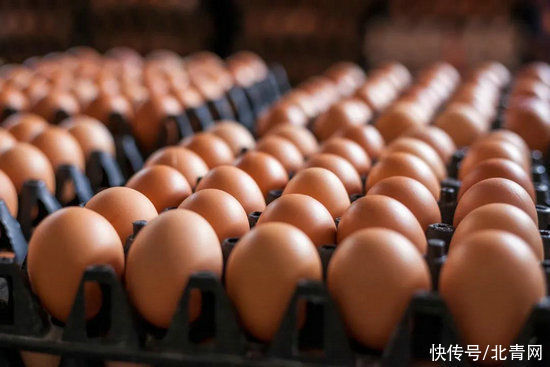 鸡蛋买回家，不要这样直接放冰箱，许多人都做错了