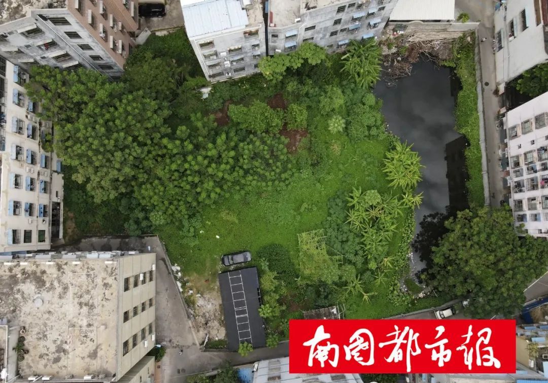 王绍章|王绍章黑社会性质组织涉案财产将被拍卖，第一批8折起拍