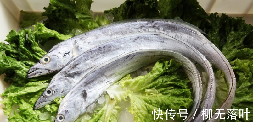 黄海|这7种海鱼，目前无法养殖，都是野生的，营养又好吃，价格还不贵！
