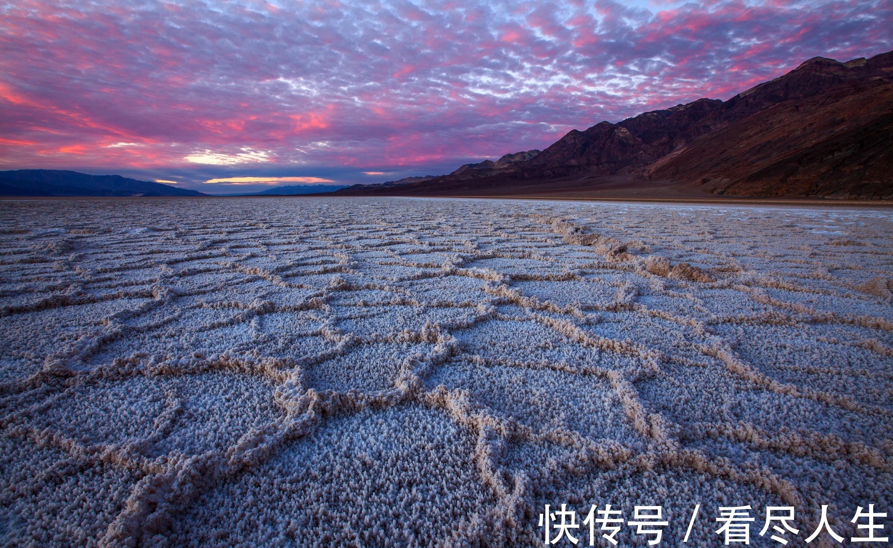 企鹅|雪白的南极冰川世界，出现了一道壮观的“血瀑布”