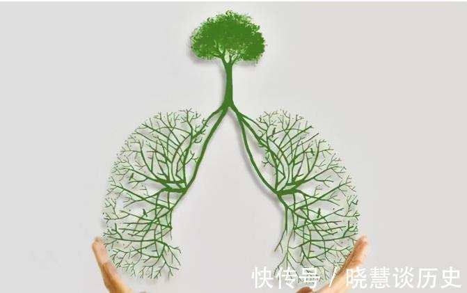 万精油|黄芪泡水好处多多,但这3种人尽量不要喝黄芪泡水,平时要注意