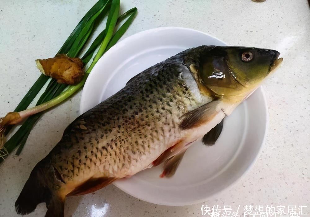 炖鱼时,要牢记“3做1不放”,炖出来的鱼汤鲜香味浓,无腥味