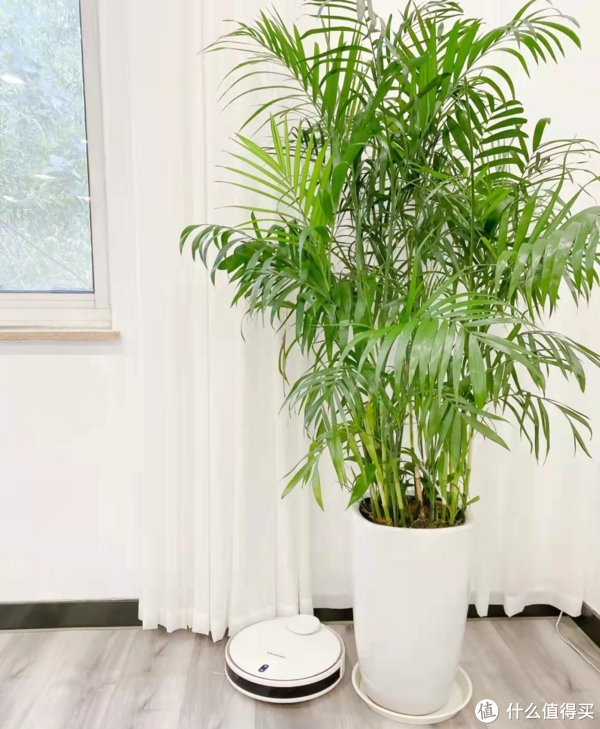 家居|后悔买晚了！这3种电器用完会爱上，还能提升生活幸福感