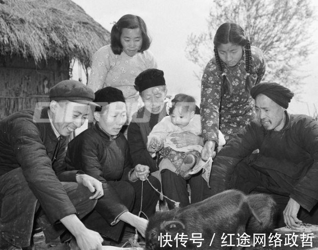 油菜籽|荆州松滋市五六十年代老照片