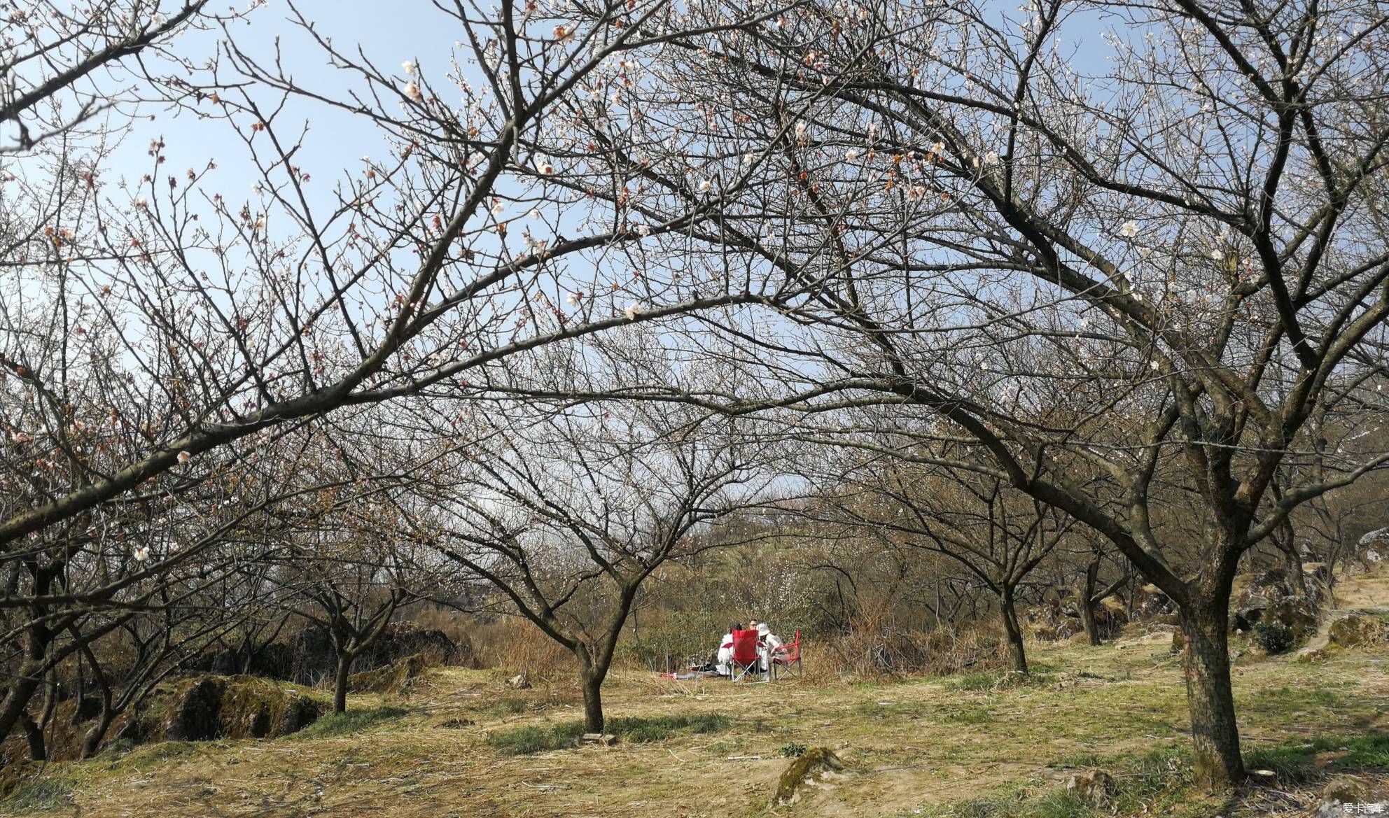 重游大坪山