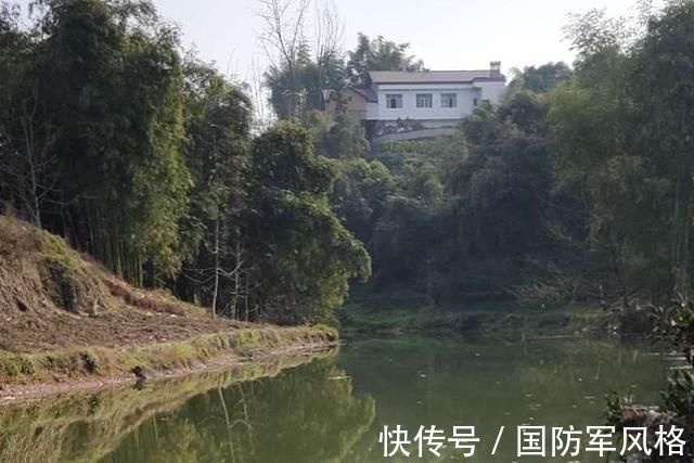 河里钓了条鱼，外观像白条鱼，嘴型像马口鱼，求鉴定，这是什么鱼