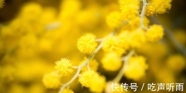 巨蟹座|在8月中下旬，桃花围绕，月老相助，旧爱回头再续前缘的四大星座