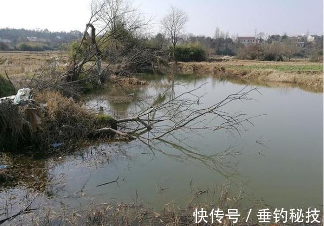 天一冷，都在钓草洞，殊不知草洞的学问还不少，一般人可不晓得