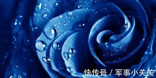 年尾|从9月到年尾，这4大星座一路有贵人开绿灯，机遇降临