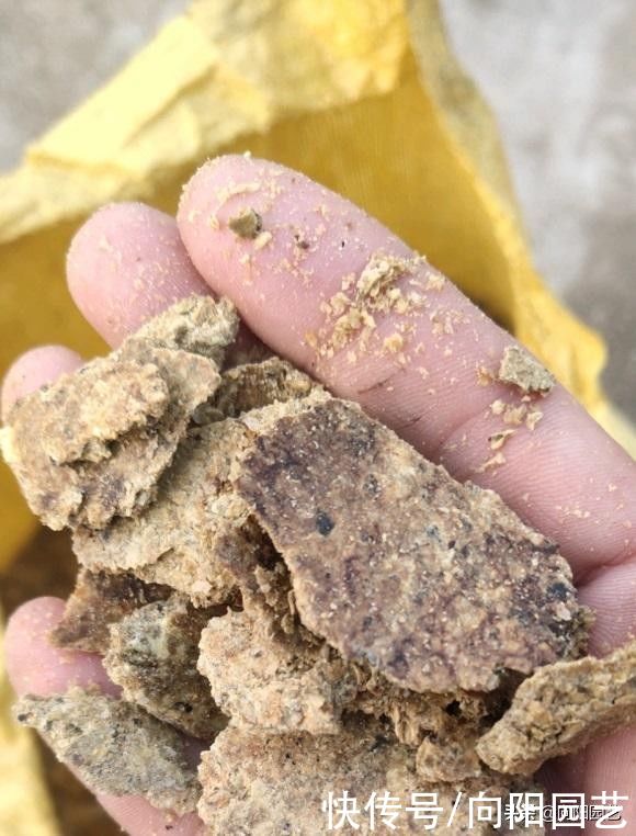 农村最常见的3种肥料，教你学会“堆肥”，立春后就能使用了