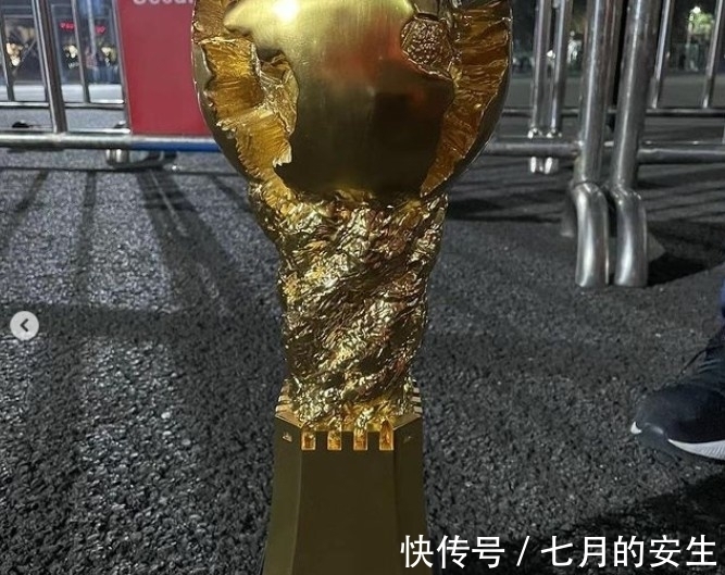 奖杯|孙准浩晒冠军奖杯和金牌,并艾特家人:很快就回来啦