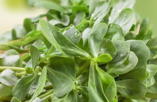 一到冬天肌肤就变差?一招教你毫不费力美回来!