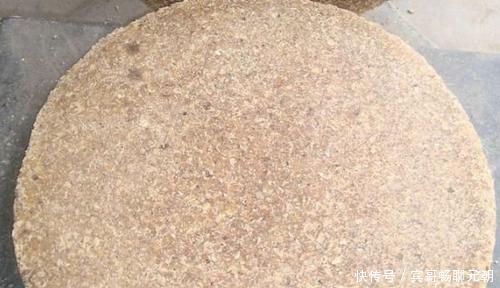 盆栽|养花不会施肥?用4样东西垫盆底,10年不施肥,花卉照样砰砰长